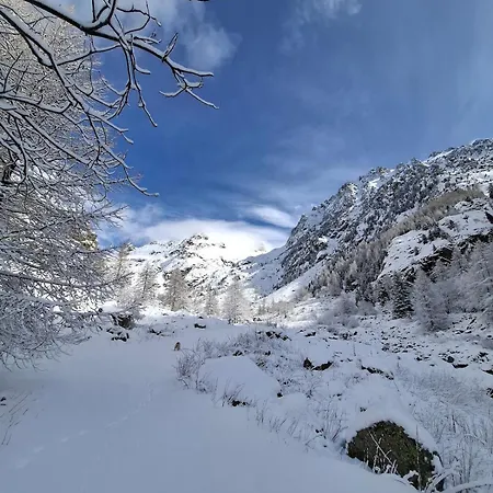 Meuble De Tourisme 2 Etoiles Au Coeur De Belvedere (Alpes-Maritimes)